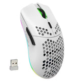 HXSJ T66 Rechargeable Wireless Gaming Mouse with RGB