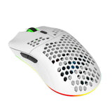 HXSJ T66 Rechargeable Wireless Gaming Mouse with RGB