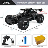 ZWN DK087 RC Drift Car - 1:16 2WD Racing Model optoeletronics
