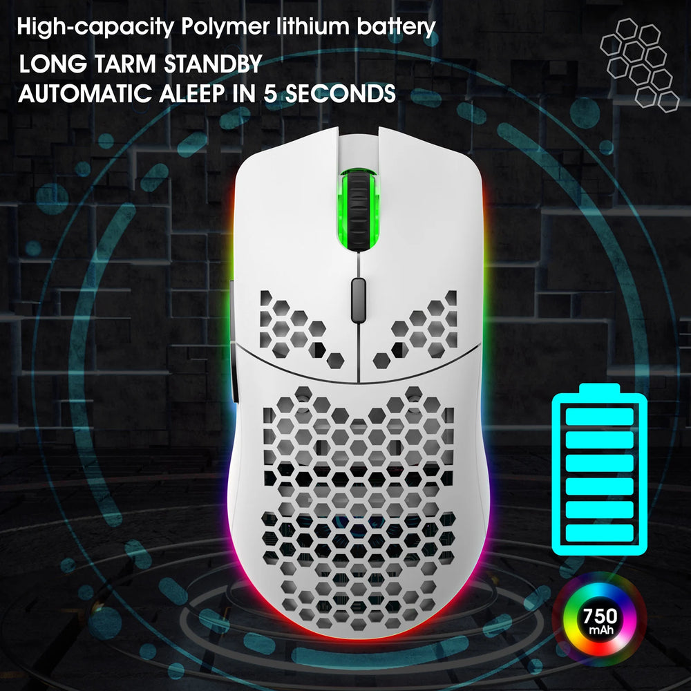 HXSJ T66 Rechargeable Wireless Gaming Mouse with RGB