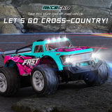 ZWN DK087 RC Drift Car - 1:16 2WD Racing Model optoeletronics