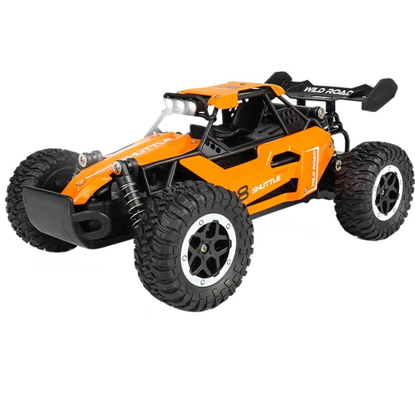 ZWN DK087 RC Drift Car - 1:16 2WD Racing Model